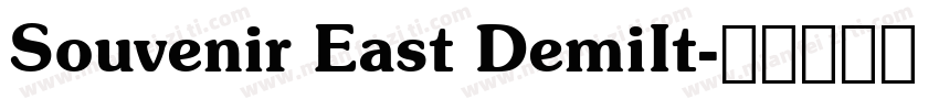 Souvenir East DemiIt字体转换